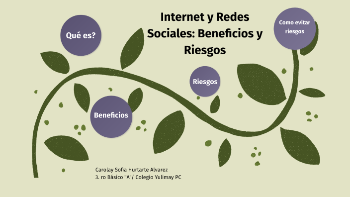 Internet y Redes Sociales: Beneficios y Riesgos by Carolay Sofia