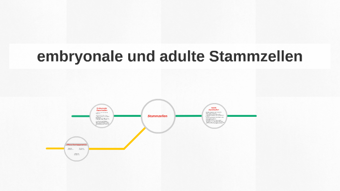 Embryonale Und Adulte Stammzellen By Ekrem Gl