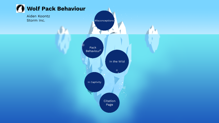 Wolves: Pack Behaviour by Aiden Koontz on Prezi