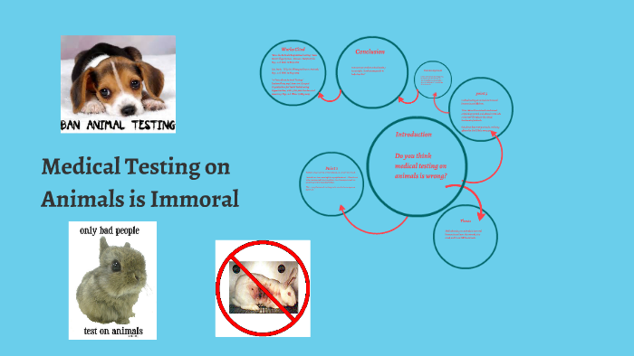 Medical Testing on Animals is immoral by Tori Johnson