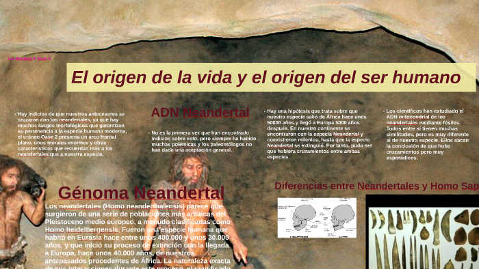 El Origen De La Vida Y El Origen Del Ser Humano By Luuz Montoya On Prezi 1285