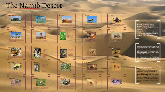 The Namib Desert By Jordon Surkosky On Prezi