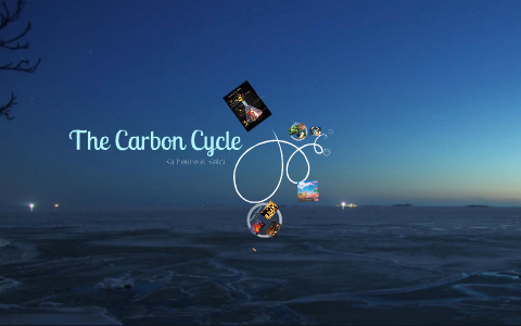 The Carbon Cycle by Katherine Hernandez on Prezi