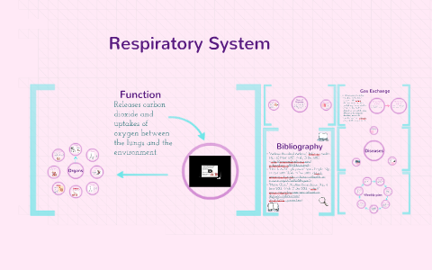 Respiratory System by on Prezi