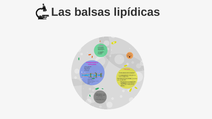 Las balsas lipídicas by Jodie Gamble on Prezi Next