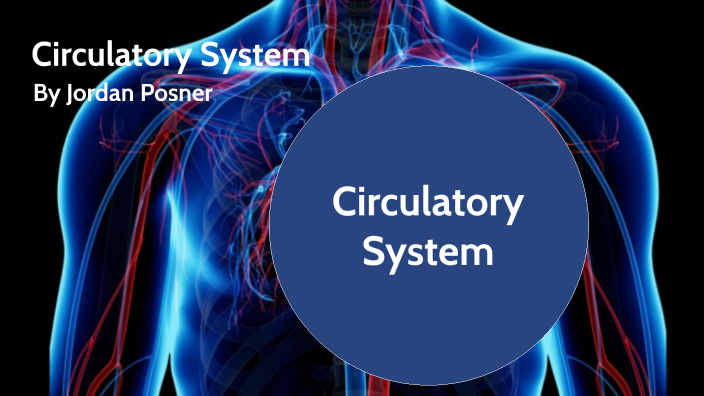 Circulatory System By Jordan Posner On Prezi