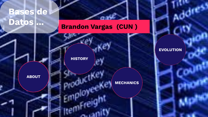 BASES DE DATOS by Brandon Steven Vargas Rendon on Prezi