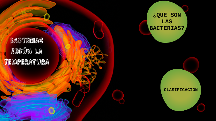 BACTERIAS SEGÚN LA TEMPERATURA by shirley sanchez on Prezi