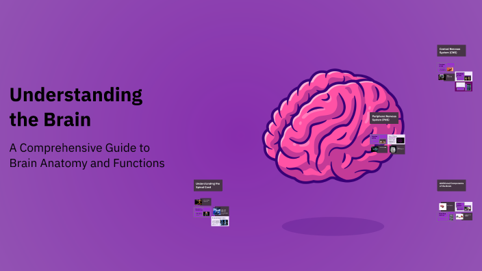 Understanding the Brain by Emily Cerrillo.MTV on Prezi