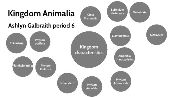 Kingdom Animalia Ashlyn Galbraith by ashlyn galbraith on Prezi