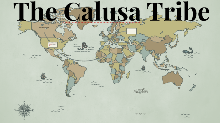 Where are the Calusa tribe located? by Shay Snyder on Prezi