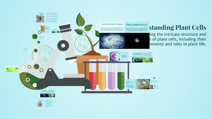 Understanding Plant Cells by Rob Gama on Prezi