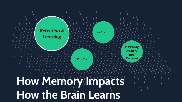 How Memory Impacts How the Brain Learns by Jessica Bledsoe on Prezi