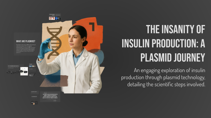 The Insanity of Insulin Production: A Plasmid Journey by Ivielins ...