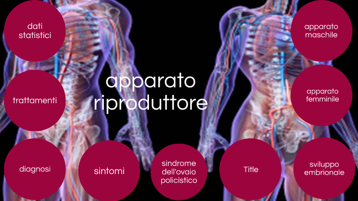 Scienze By Martina Fantini On Prezi