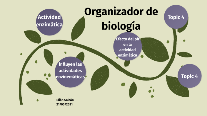 Organizador de Biología by Elián Salcán
