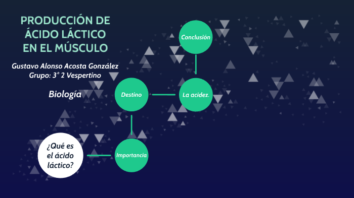 ProducciÓn De Ácido LÁctico En El MÚsculo By Gustavo Alonso Acosta Gonzalez 0164