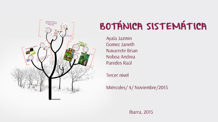 BotÁnica SistemÁtica By Andrea Noboa On Prezi 5834