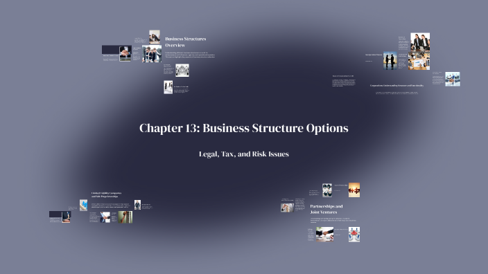Chapter 13: Business Structure Options by Adam Davis on Prezi
