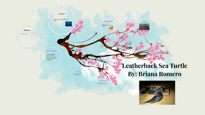 LeatherBack Sea Turtles by briana romero on Prezi