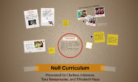 Null Curriculum By Tara Bustamante