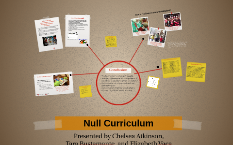 what is null curriculum