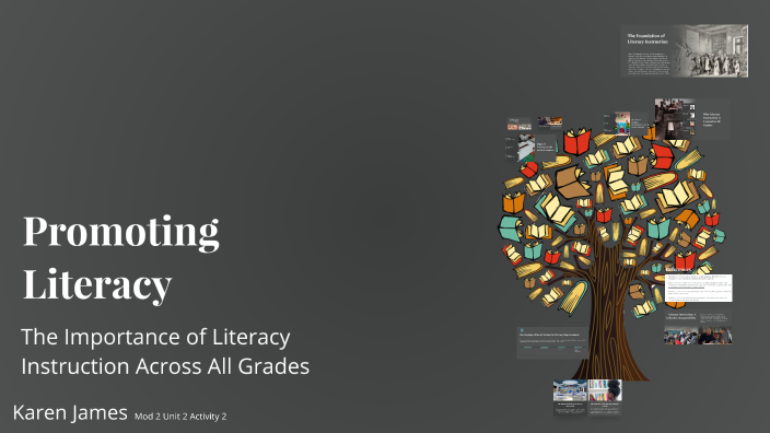 The Importance of Literacy Instruction Across All Grades by Karen James ...