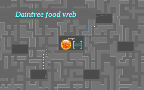 Daintree food web by Nathan Neilsen