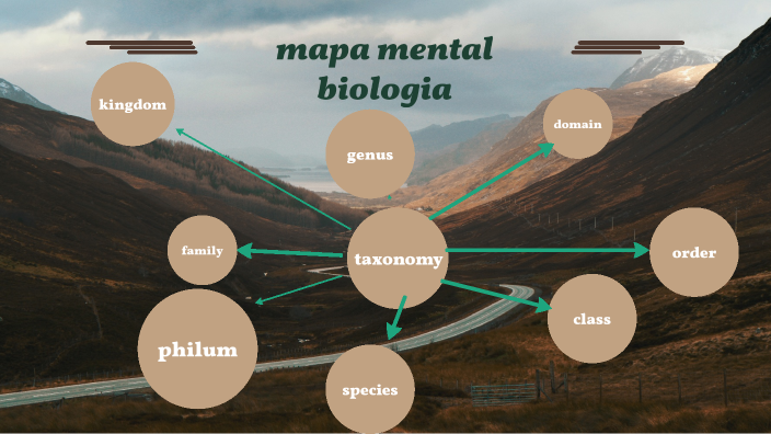 mapa mental biologia by juan sebastian angel rodriguez on Prezi