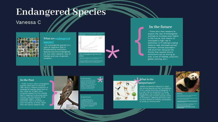 Endangered Species by Vanessa Cardenas on Prezi