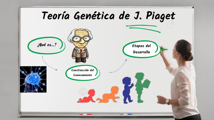 Teoria Genética J. Piaget By Debbie GF On Prezi