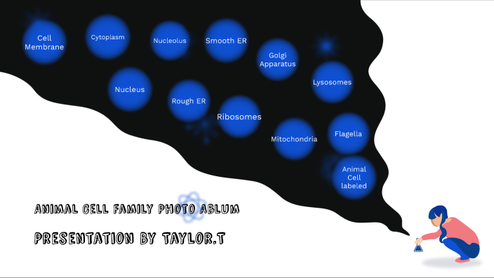 Animal Cell - Family Photo Album by Taylor Thomas on Prezi