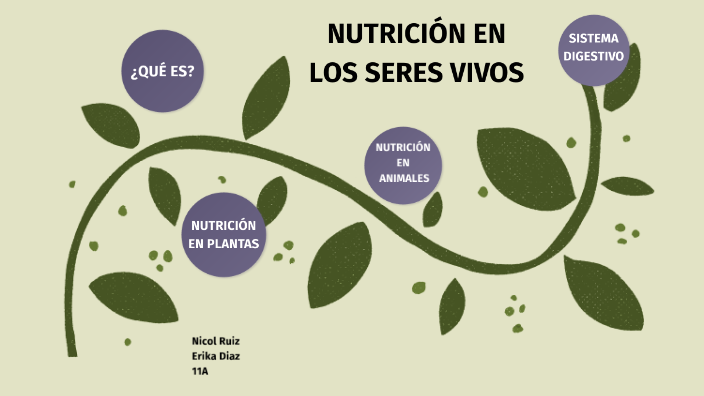 Nutrición En Los Seres Vivos By Erika Diaz On Prezi 8876