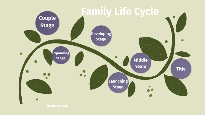 family-life-cycle-by-brooklyn-saale