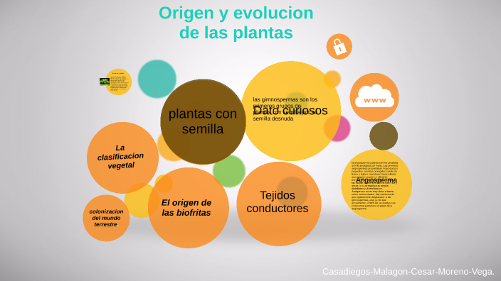 Origen Y Evolucion De las plantas by Mimitrons on Prezi