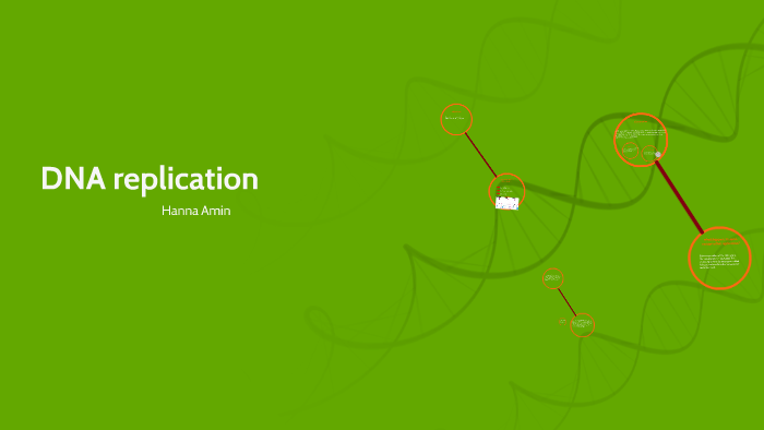 DNA replication by mariam mohammed on Prezi