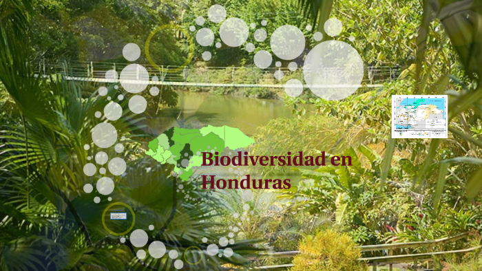 Biodiversidad En Honduras By Vivian Arias On Prezi