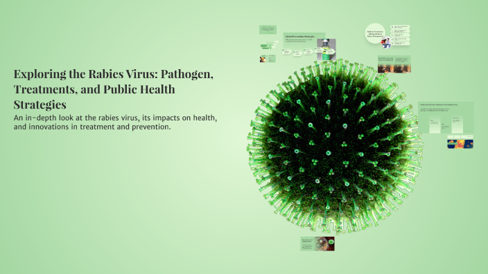 Exploring the Rabies Virus: Pathogen, Treatments, and Public Health ...