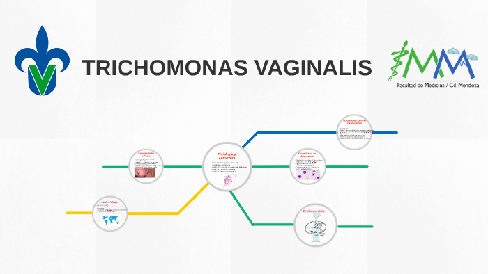 Trichomonas Vaginalis By Omar Garcia On Prezi 