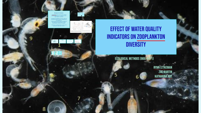Effect of Water Quality Indicators on Zooplankton Diversity by kat abt ...