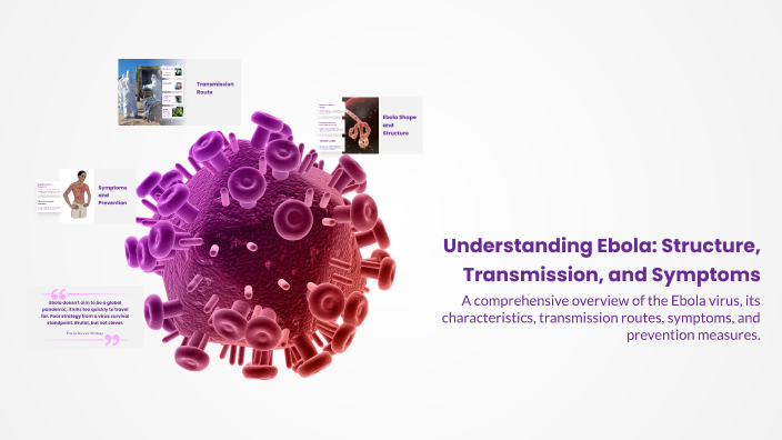 Understanding Ebola: Structure, Transmission, and Symptoms by Панчик