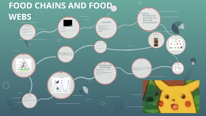 FOOD CHAINS by Hamza Hasan on Prezi