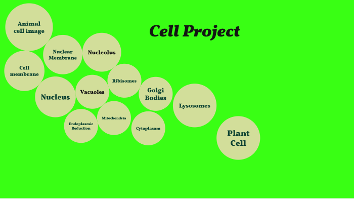 Plant and animal cells by Thomas Bevan on Prezi
