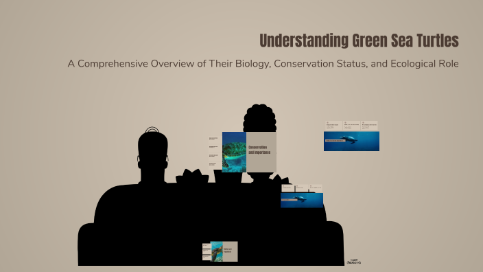 Understanding Green Sea Turtles by Jessie Greenway on Prezi
