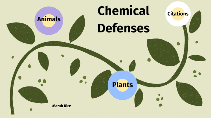 Chemical Defenses in Plants and Animals by The Flash on Prezi