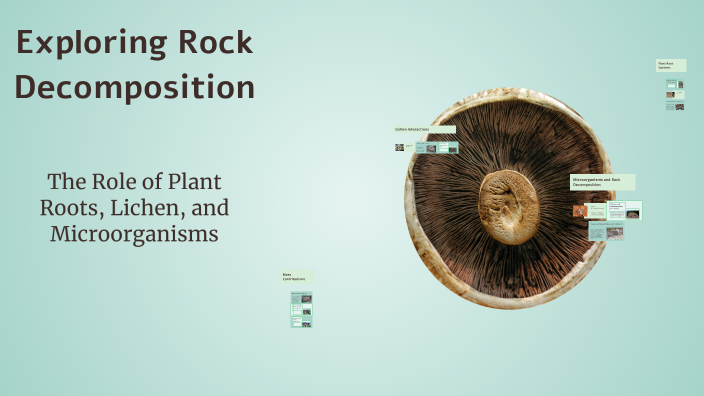 Exploring Rock Decomposition by Alex bachlador on Prezi