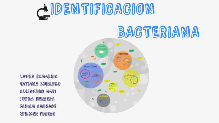 Identificacion Bacteriana By Laura Sanabria On Prezi 0528