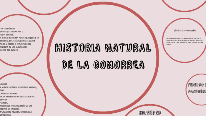 Historia Natural De La Gonorrea By Berenice Gonzalez Gutierrez On Prezi