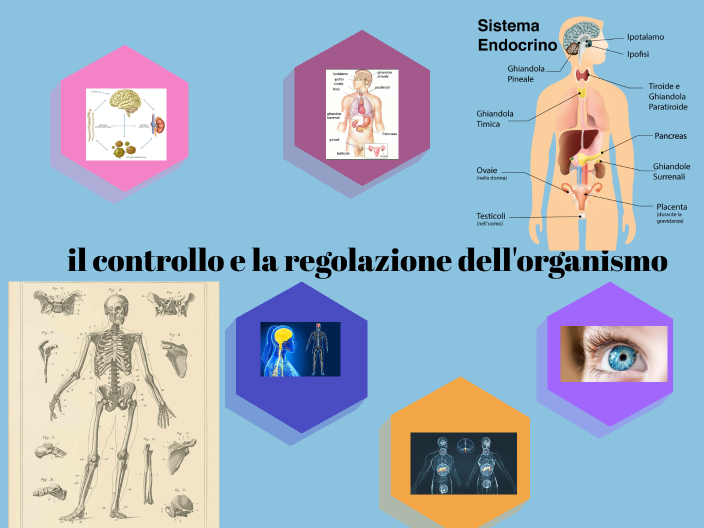 Scienze By Zaira Pantaleo On Prezi Next 0991