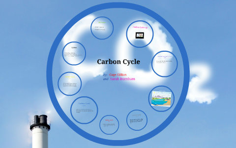 Carbon Cycle by on Prezi